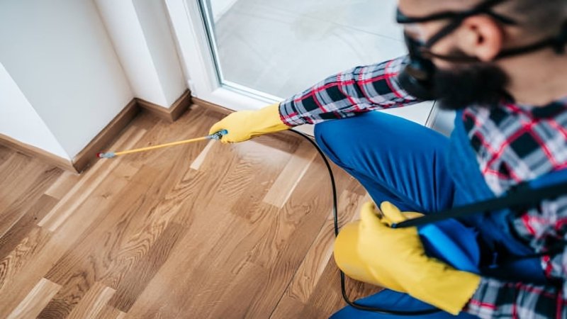Property Maintenance and Pest Control